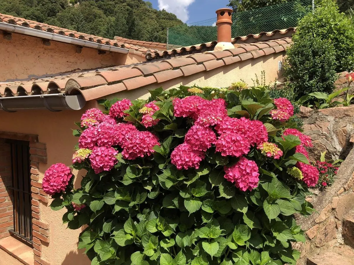 Alojamiento con jardín, barbacoa, piscina en pleno Montseny Arbúcies España
